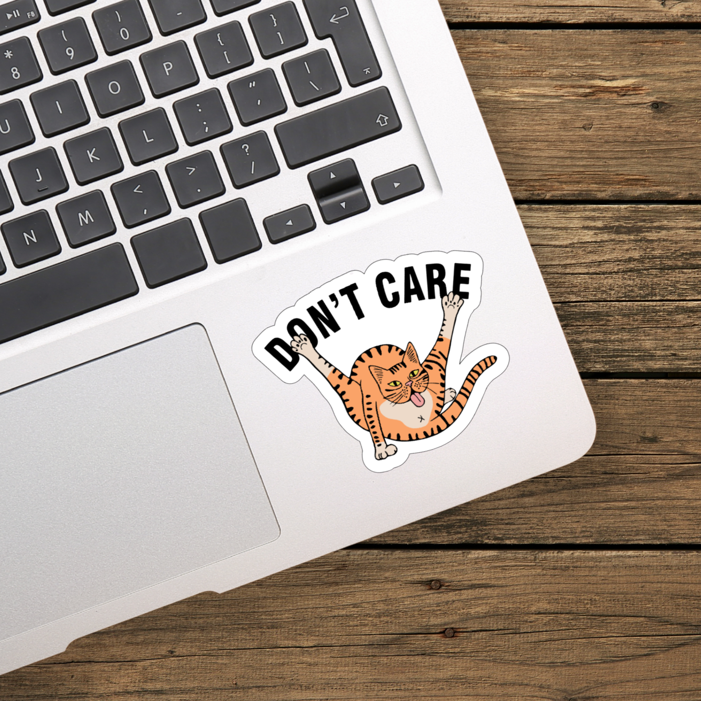 Don't Care Cat Sticker